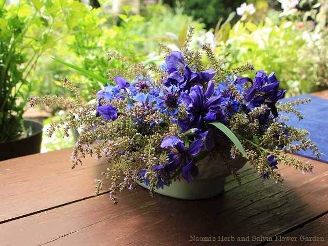 庭の青い花を生けて