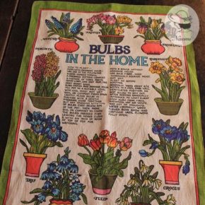 ‘BULBS IN THE HOME’　球根植物が描かれたティータオル