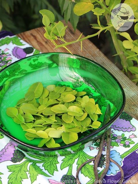 Balmoral Thistle pattern Vintage Tea Towel (5)