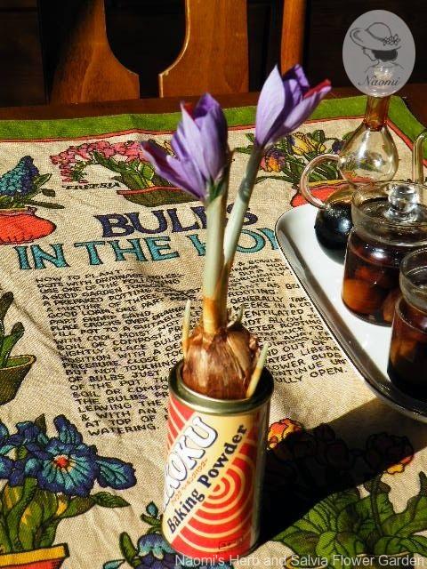 ‘BULBS IN THE HOME’ Tea Towel