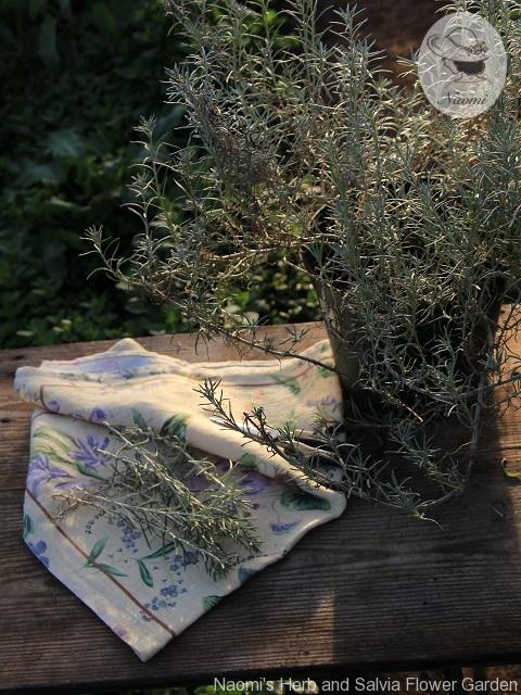 ‘BOTANICAL FLOWERS’Tea Towel